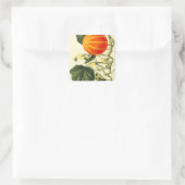  botanische print van pompoen. vierkante sticker (Tas)