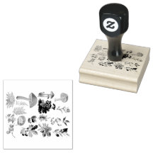 Botanische producten en paddenstoelen