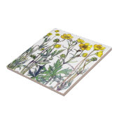 Botanische Ranunculus Wildflower Flowers Tile Tegeltje (Zijkant)
