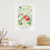 Botanische  Rocky Mountain Wildflowers Poster (Keuken)