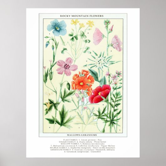 Botanische  Rocky Mountain Wildflowers Poster (Voorkant)
