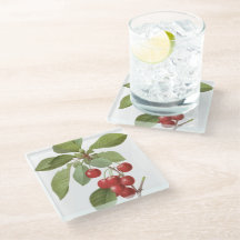 Botanische rode kersen