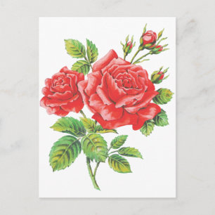 Botanische  rode rozen briefkaart