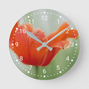 Botanische rode tulp bloem natuur fotografie ronde klok