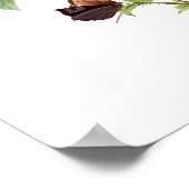 Botanische Rosa Centifolia Redoute Poster (Hoek)