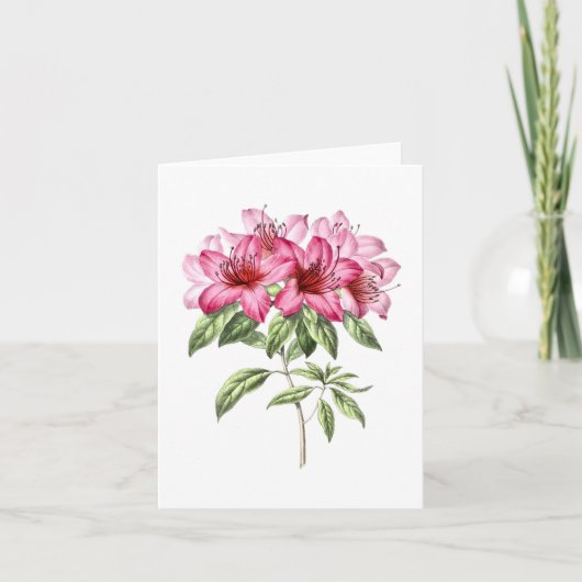 Botanische Roze Azalea Note Kaart (Voorkant)