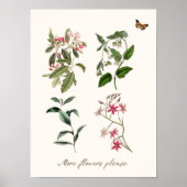 Botanische  roze bloei-schrijfmachine poster (Voorkant)