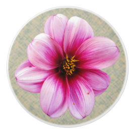 Botanische roze Dahlia-ventilator op elke kleur Keramische Knop