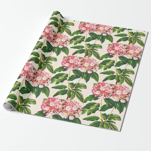 Botanische Roze Mountain Laurel Flower Cadeaupapier (Uitgerold)