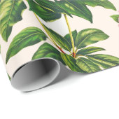 Botanische Roze Mountain Laurel Flower Cadeaupapier (Rol Hoek)