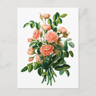 Botanische roze Peony Bokeh Briefkaart