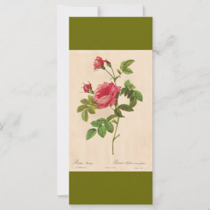 botanische roze roze roze roze bloemen bladwijzer