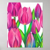 Botanische roze tulpen tekening poster (Voorkant)