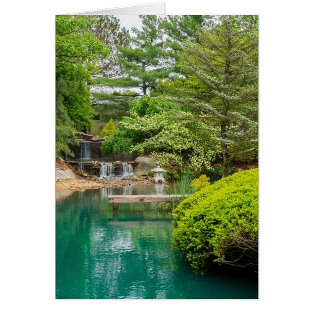 Botanische schoonheid (Voorkant)