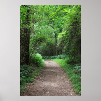 Botanische serie 123 poster