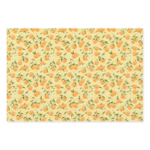 Botanische sinaasappel- en picknickfestival