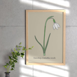 Botanische Sneeuwdruppelpastel Bloem Poster