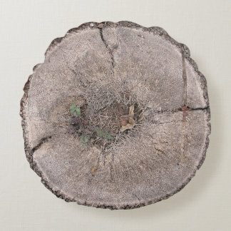 Botanische Snijpalm Band Foto Ronde Pijl Rond Kussen