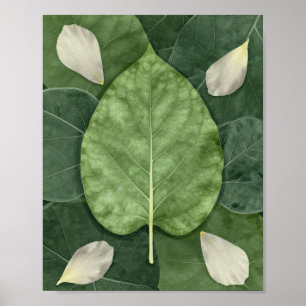Botanische Straling: Een Symmetrische Studie van G Poster