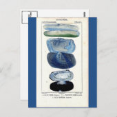  botanische strandkunst briefkaart (Voorkant / Achterkant)