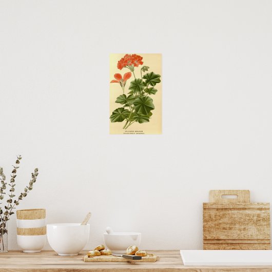 botanische studie Ivy verliet Geranium Illust Poster (Keuken)