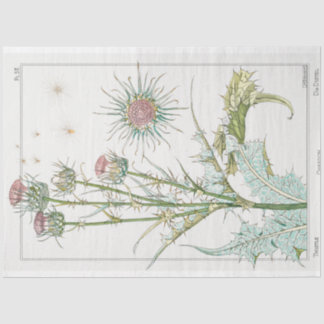  botanische thistel tissuepapier