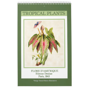 botanische tropische Planten 2026 Kalender