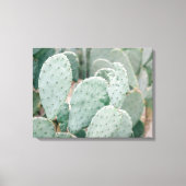 Botanische Tuin Cactus Canvas Afdruk (Voorkant)