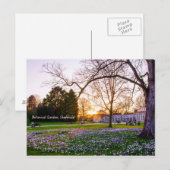 Botanische tuin in Sheffield Briefkaart (Voorkant / Achterkant)