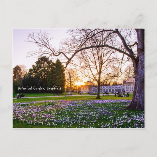 Botanische tuin in Sheffield Briefkaart (Voorkant)