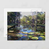 Botanische tuin Pamplemousses, eiland Mauritius Briefkaart (Voorkant / Achterkant)