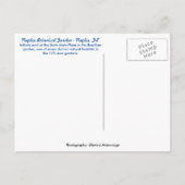 Botanische tuin van Napels - Infinity Pool Briefkaart (Achterkant)