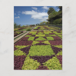 Botanische tuinen, Funchal, Madeira-eilanden Briefkaart