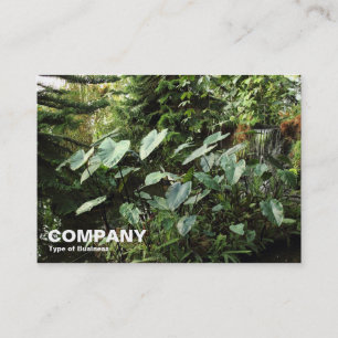 Botanische tuinen visitekaartje