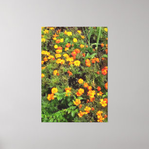 botanische tuinfoto canvas afdruk