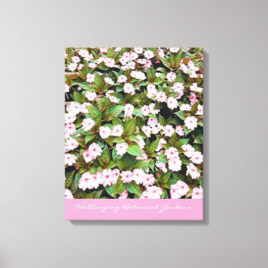 Botanische tuinroze bloemen NSW Canvas Afdruk (Voorkant)