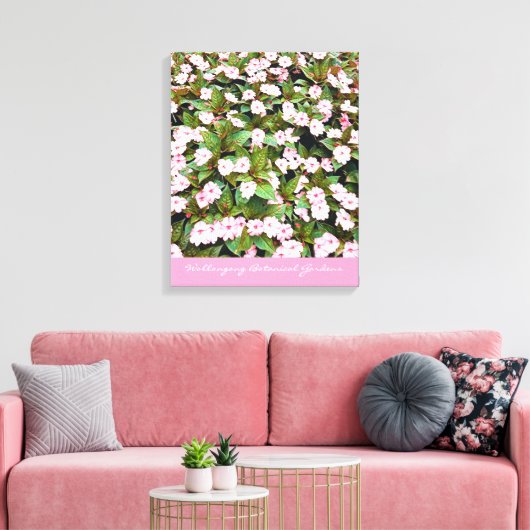 Botanische tuinroze bloemen NSW Canvas Afdruk (Insitu (Woonkamer))