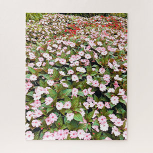 Botanische tuinroze bloemen NSW Legpuzzel