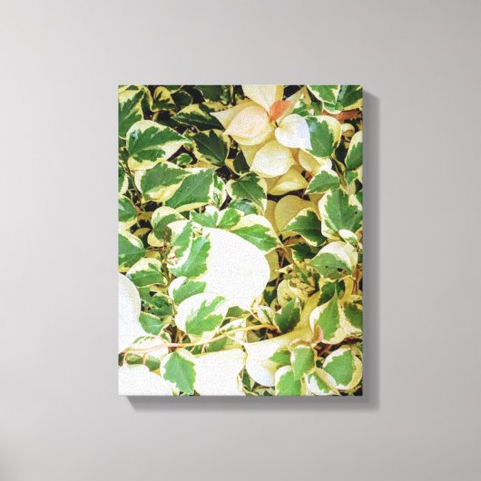 Botanische tuinwandkunst canvas afdruk (Voorkant)
