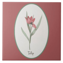  botanische Tulp Flower-cameo op roze Tegeltje
