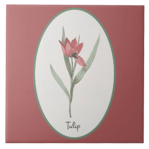  botanische Tulp Flower-cameo op roze Tegeltje