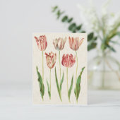  botanische Tulpen illustratie Briefkaart (Staand voorkant)
