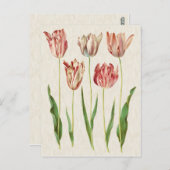  botanische Tulpen illustratie Briefkaart (Voorkant / Achterkant)