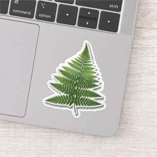 Botanische Varentak Sticker - Natuur Groen Plant