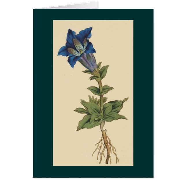  botanische ventilatorkaart (Voorkant)