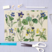 Botanische viooltjes  bloemenpapier tissuepapier (Craft)