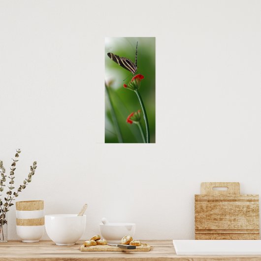 Botanische vlinder poster (Keuken)
