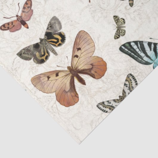 Botanische vlinderblauw loszijde tissuepapier (Detail)