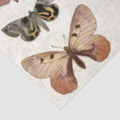 Botanische vlinderbloemige katalysator  ontkoppeli tissuepapier (Detail)