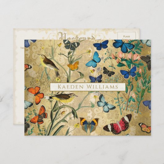  botanische vlinders en Briefkaart van vogels (Voorkant / Achterkant)